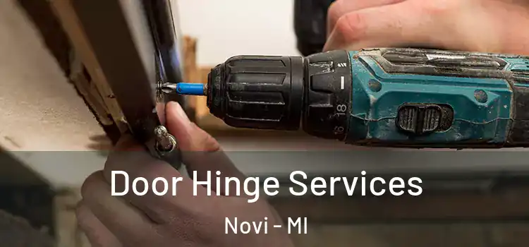 Door Hinge Services Novi - MI