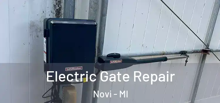 Electric Gate Repair Novi - MI