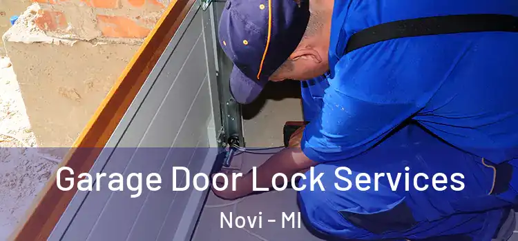Garage Door Lock Services Novi - MI