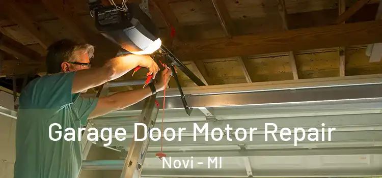  Garage Door Motor Repair Novi - MI