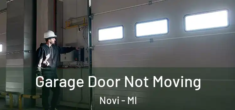  Garage Door Not Moving Novi - MI