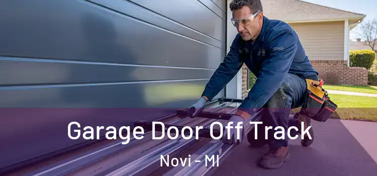  Garage Door Off Track Novi - MI