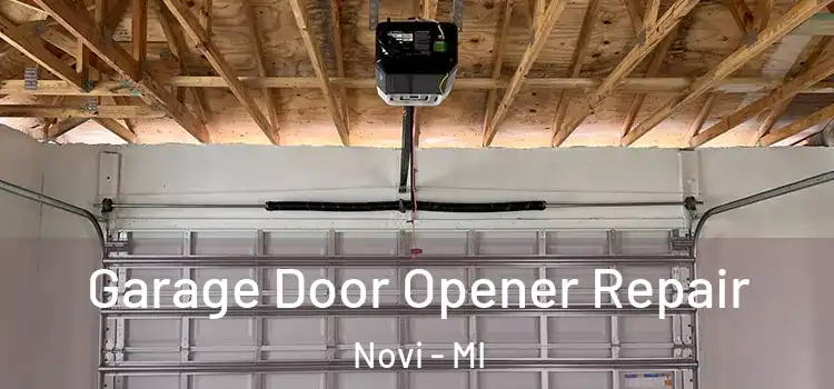 Garage Door Opener Repair Novi - MI