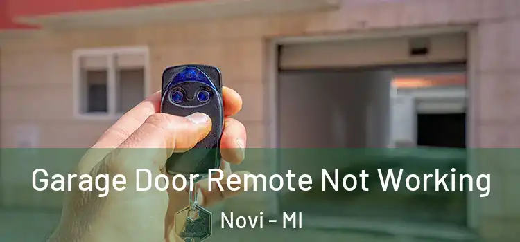  Garage Door Remote Not Working Novi - MI