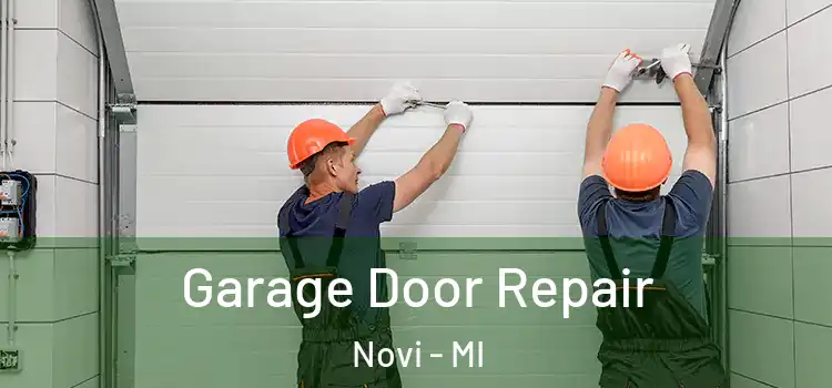  Garage Door Repair Novi - MI