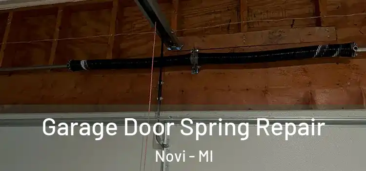  Garage Door Spring Repair Novi - MI