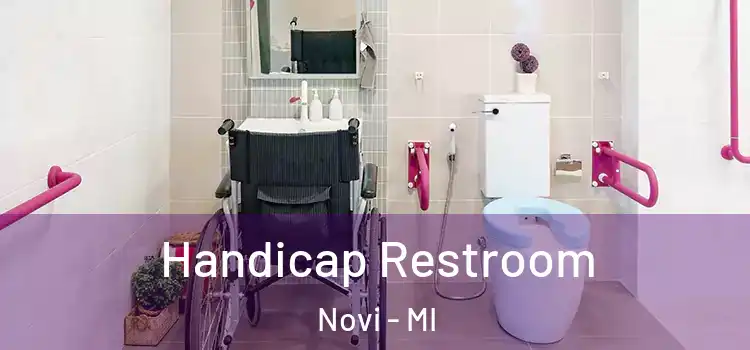 Handicap Restroom Novi - MI