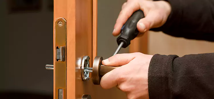 Rekey Car Locks Novi