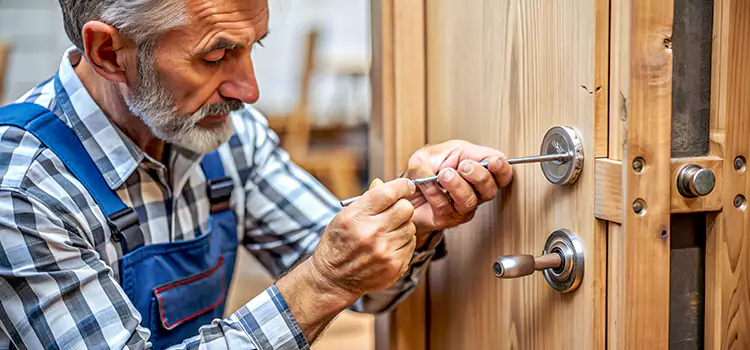 Mortise Replacement Lock Novi