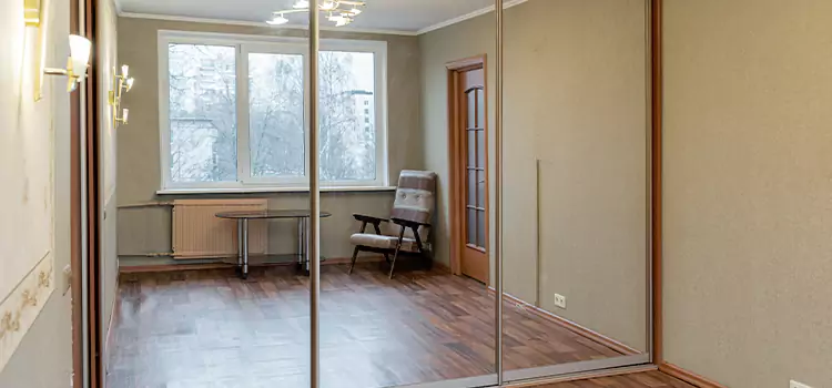 Mirror Closet Door Roller Replacement Novi