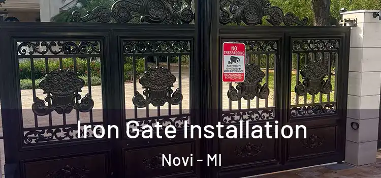 Iron Gate Installation Novi - MI