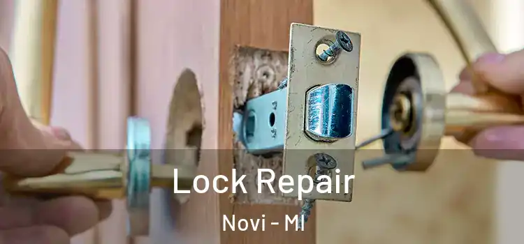 Lock Repair Novi - MI
