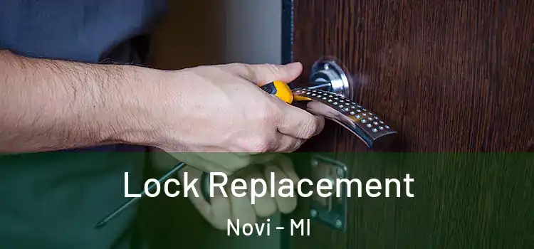 Lock Replacement Novi - MI