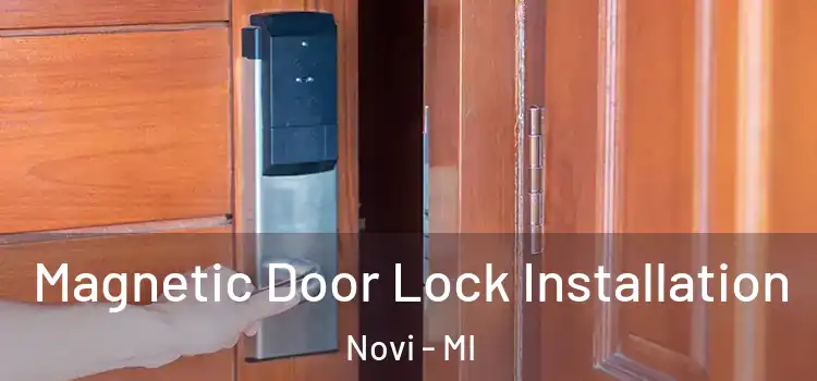  Magnetic Door Lock Installation Novi - MI