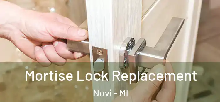 Mortise Lock Replacement Novi - MI