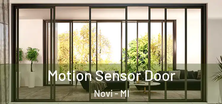 Motion Sensor Door Novi - MI