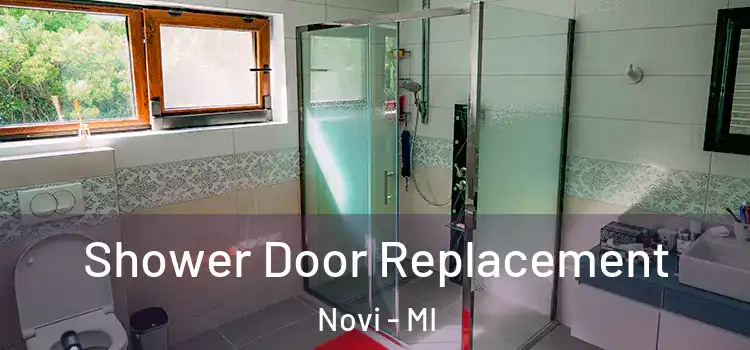 Shower Door Replacement Novi - MI