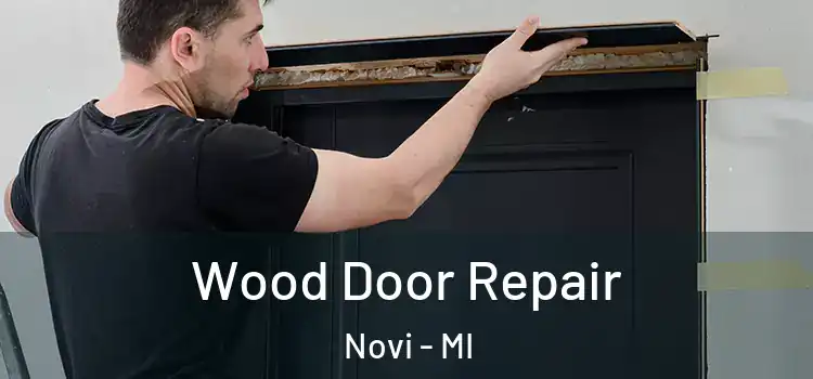 Wood Door Repair Novi - MI